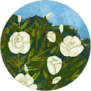 Image Google de Marie Claude Vigue