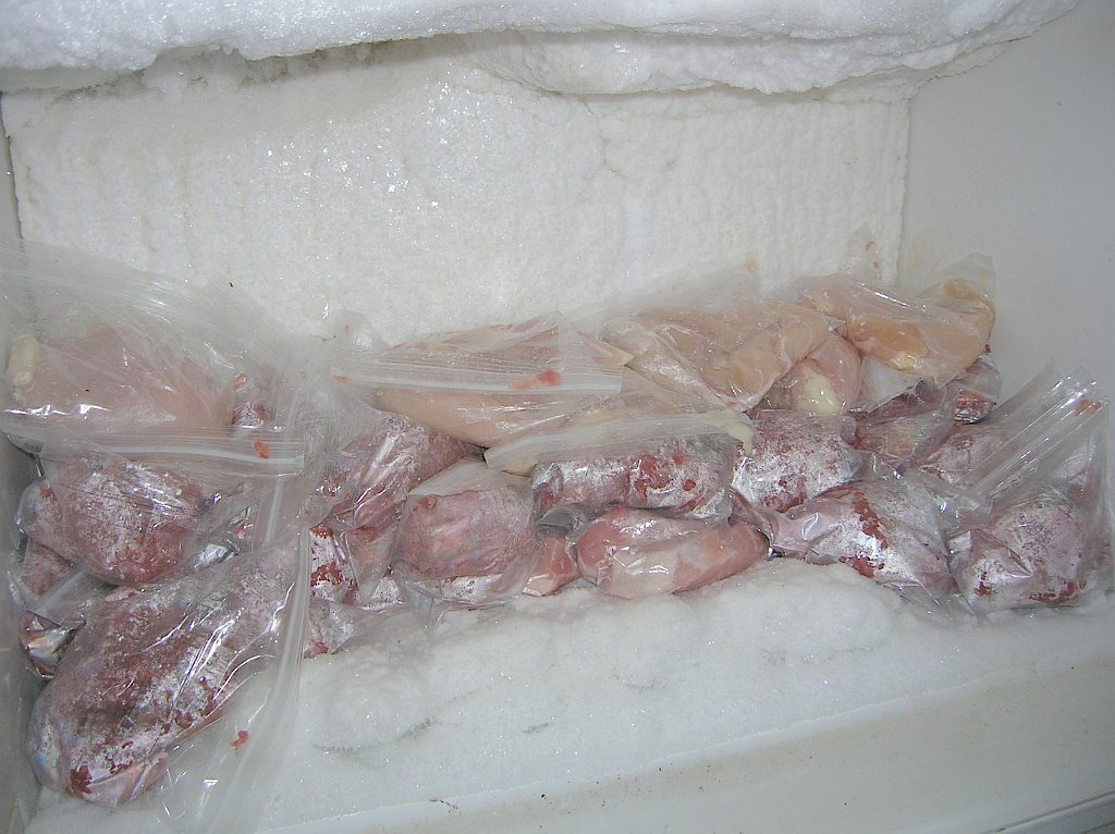 [food%2520002w%255B3%255D.jpg]