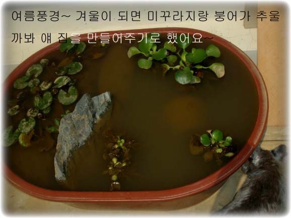 [Gallery2793_1%255B3%255D.jpg]