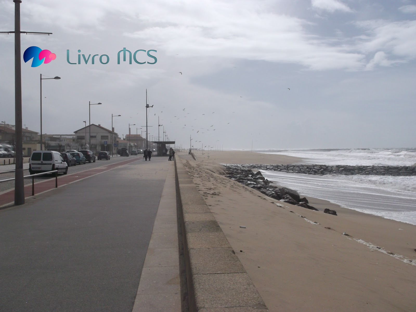 [BlogGazetadeEspinho001LivroMCS2.jpg]