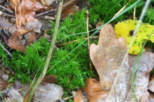 20100822 (12) (Small)