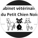Image Google de cabinet vétérinaire du petit chien noir