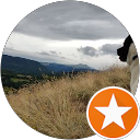Image Google de Otchi Akita americain