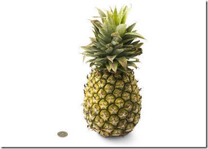 33-pineapple[1]