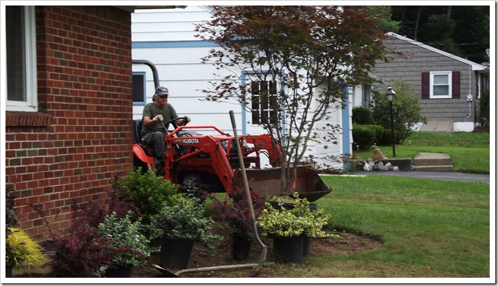 landscaping front planted 005