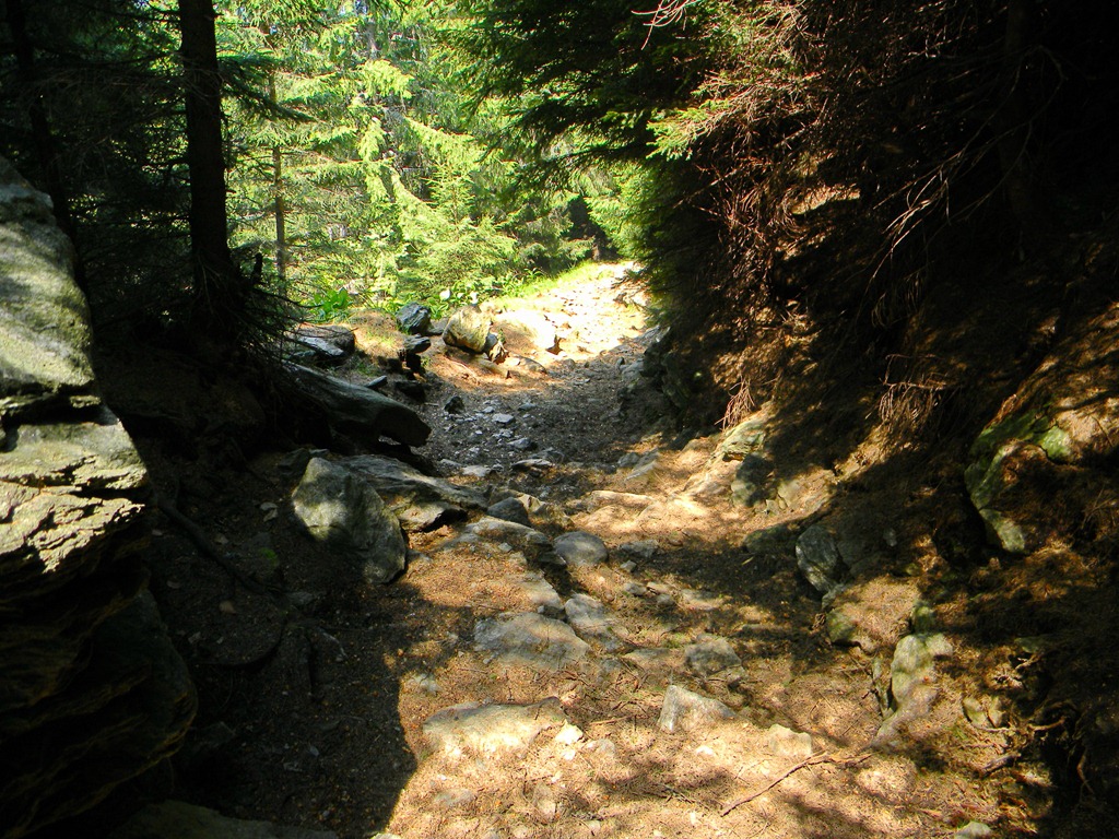 [DSCN15023.jpg]