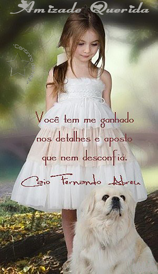 foiassimsempre.png