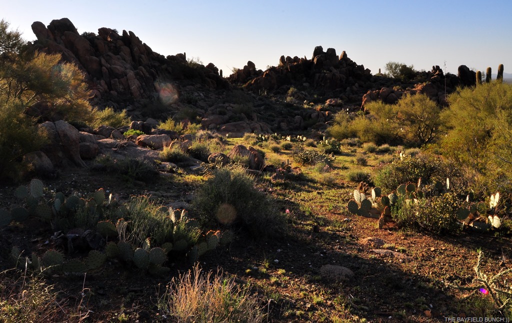 [DSC_0006%255B4%255D.jpg]