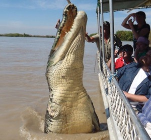 Crocodilo de 5,5 metros