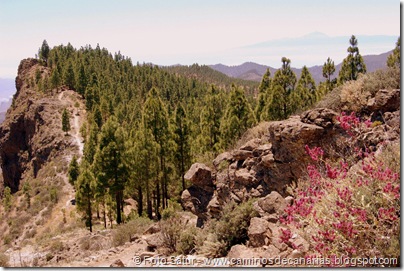 6383 Deg. Las Palomas-Bº. Hondo 6383 Deg. Las Palomas-Bº. Hondo