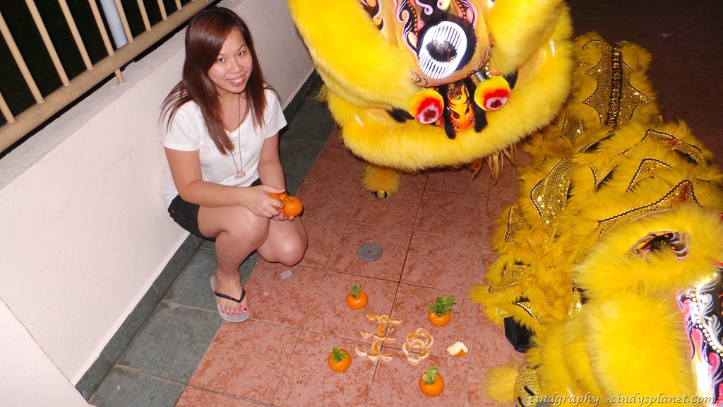 [20130213_2159283.jpg.webp]