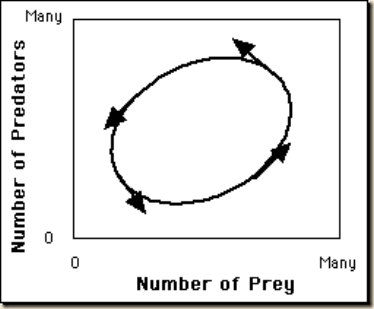 preditor prey phase Fig3.2