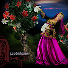 IMG_3629 copy.jpg
