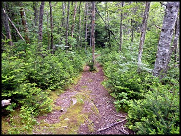 04v2 -  Hike - Thompson Trail to Bog Trail