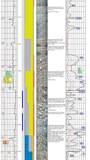 Selman Surface Logging