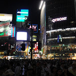 shibuya crossing by night in Tokyo, Japan 