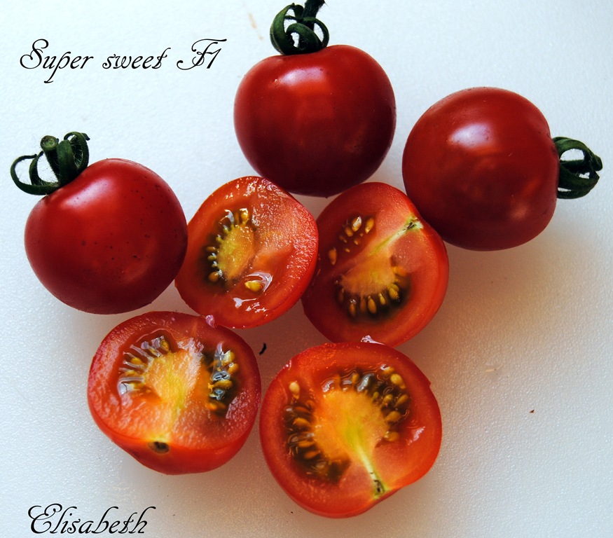 [Tomater--2011-0084.jpg]