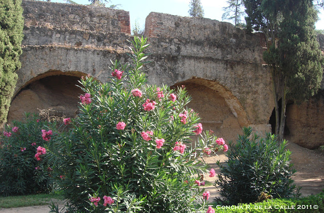 Badajoz Sepbre 2011 - Parque de la Legión (2).JPG