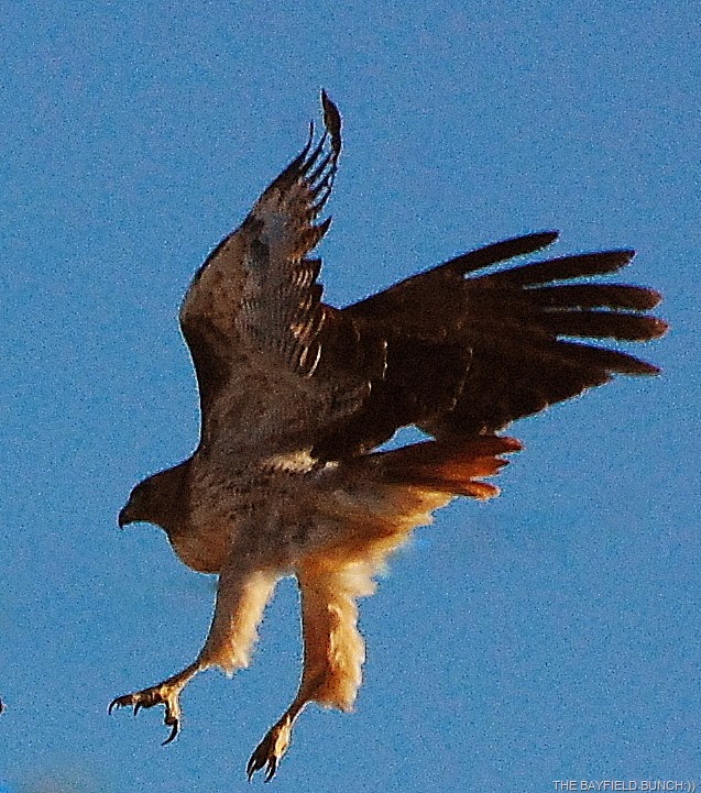 [DSC_7217%255B3%255D.jpg]