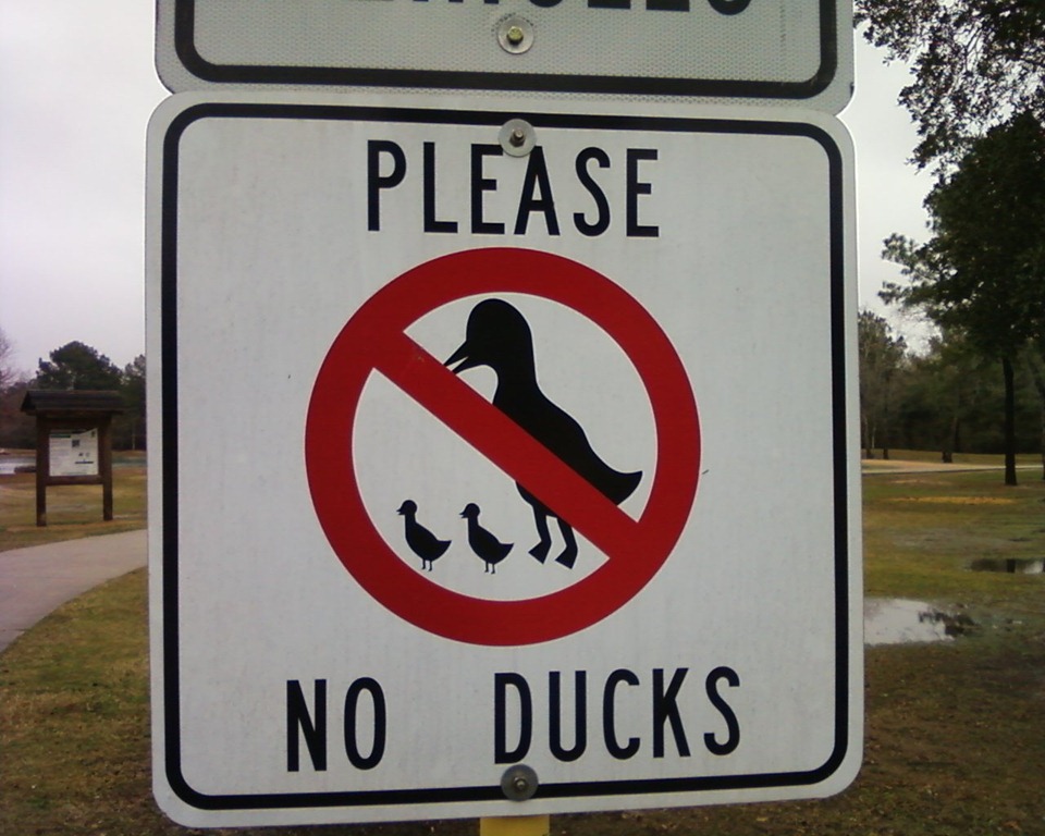 [funny_sign_please_no_duck2.jpg]