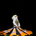 IMG_6848.jpg