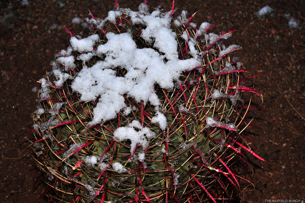 [DSC_0022%255B3%255D.jpg]