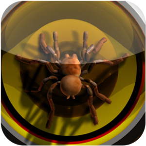 TARANTULA  VIDEORING TONE logo