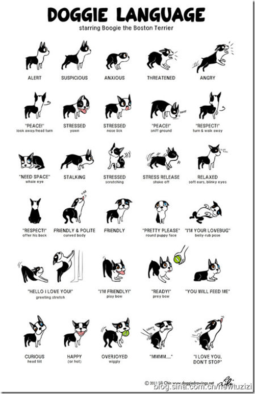 中文版-狗狗的30種身體語言(doggie language)