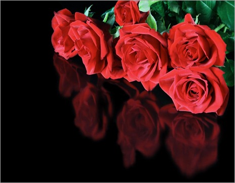 Red_roses_reflected_on_a_black_surface