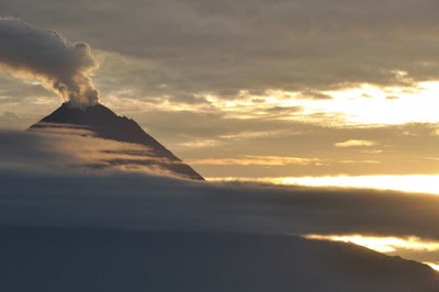 DSC_0070.jpg