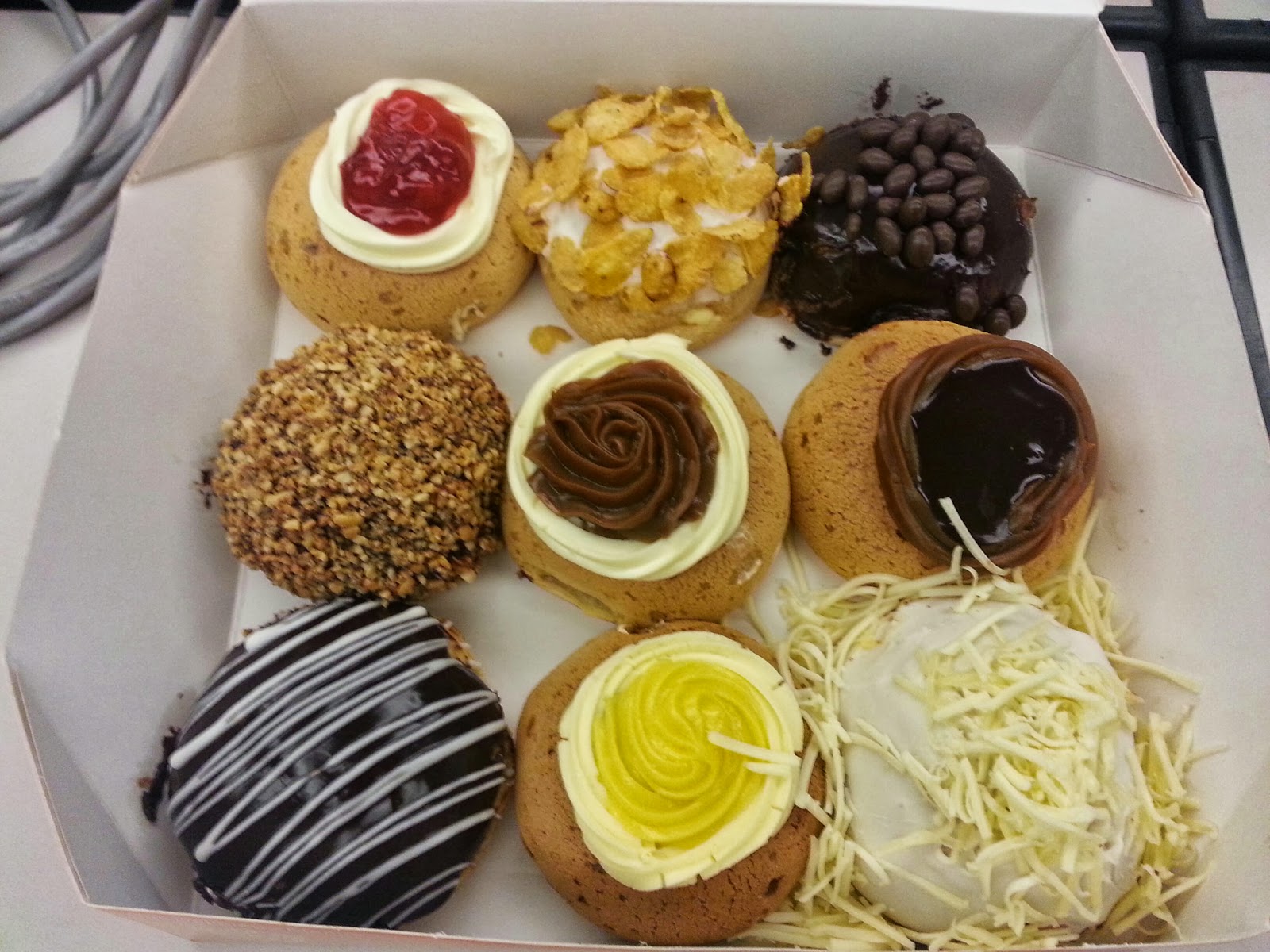 Rain's Food Diary Chewy Junior