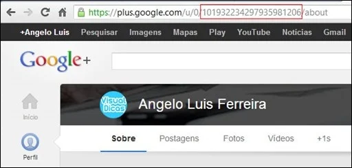 googleplusfanbox1