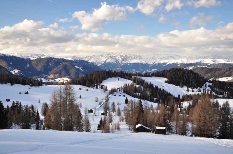 DSC_8135.JPG DSC 8135