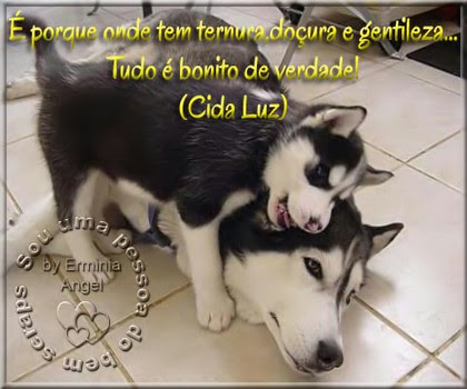 tumblr_mcnp3nMRQ81r1b3m7o1_500.jpg