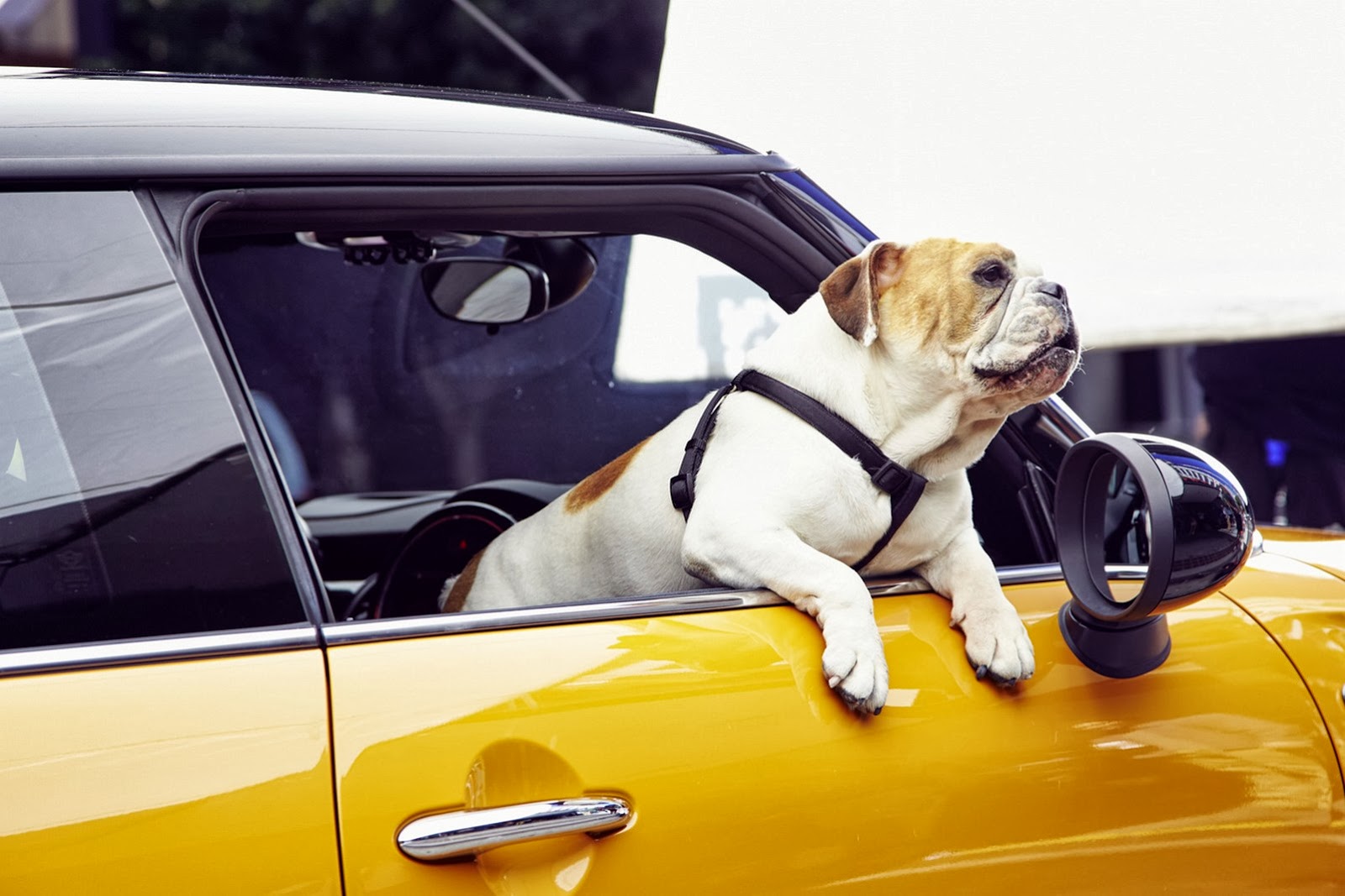 [New-Mini-commercial-3%255B3%255D.jpg]