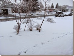 IMG_1973 IMG_1973