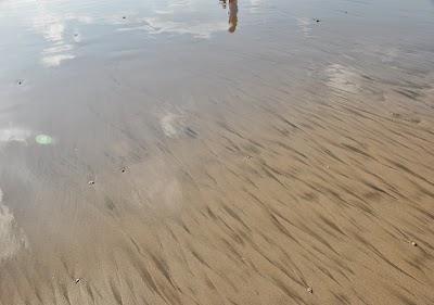 DSC_0056.jpg