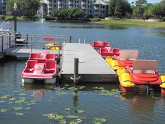 Florida Marriott Cypress Harbour paddle boats