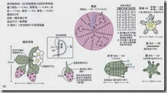 strawberry with flower-diagram