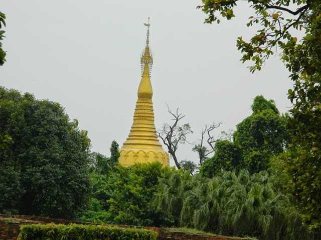 DSCN2173 DSCN2173