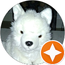 Image Google de petshop etoile stella
