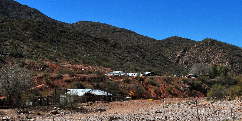 [DSC_0241%255B4%255D.jpg]