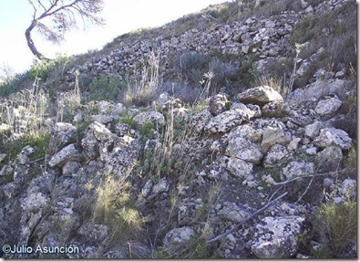 Restos de muros en la ladera norte del yacimiento de El Castillarejo - Pinoso