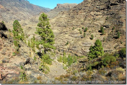 6743 Carrizal Tejeda-La Aldea(Barranco Vigaróe) 6743 Carrizal Tejeda-La Aldea(Barranco Vigaróe)