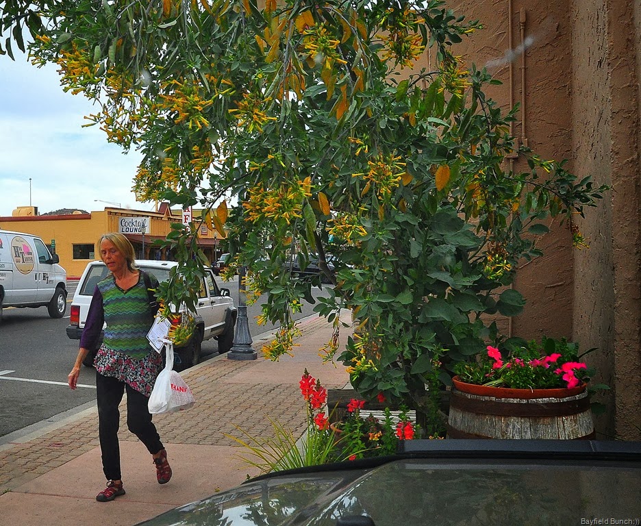 [DSC_0017%255B6%255D.jpg]