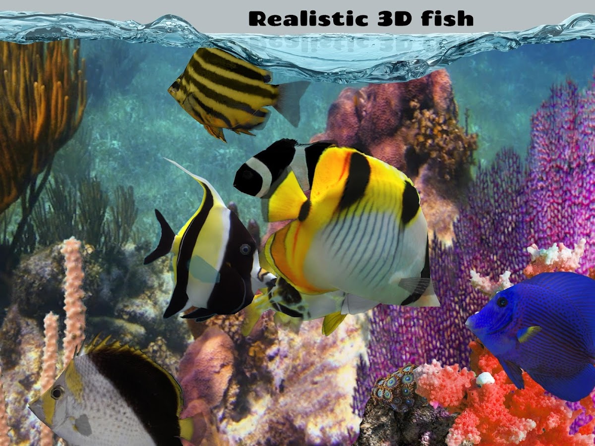 Fish Farm 2 - Android Apps on Google Play