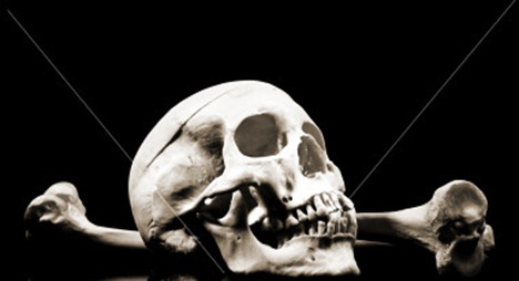 istockphoto_2140275-skull-and-bones