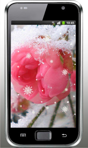 Roses n Snow HD live wallpaper