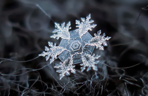 Snowflake closeup diy setup alexey kljatov 4
