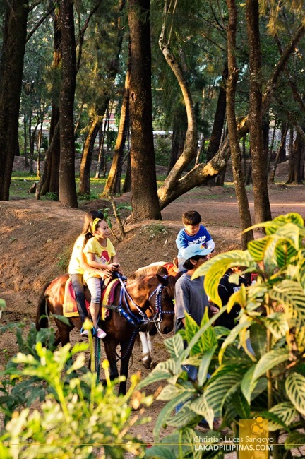 Kids Riding Ponies at Baguio City's Wright Park